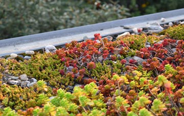 the cost of Lambrook green roof installation