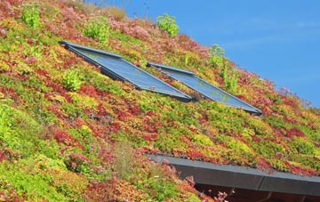 Lambrook living roof systems