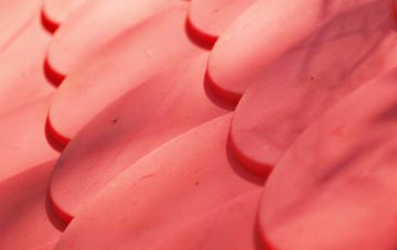 Lambrook plastic roof costs